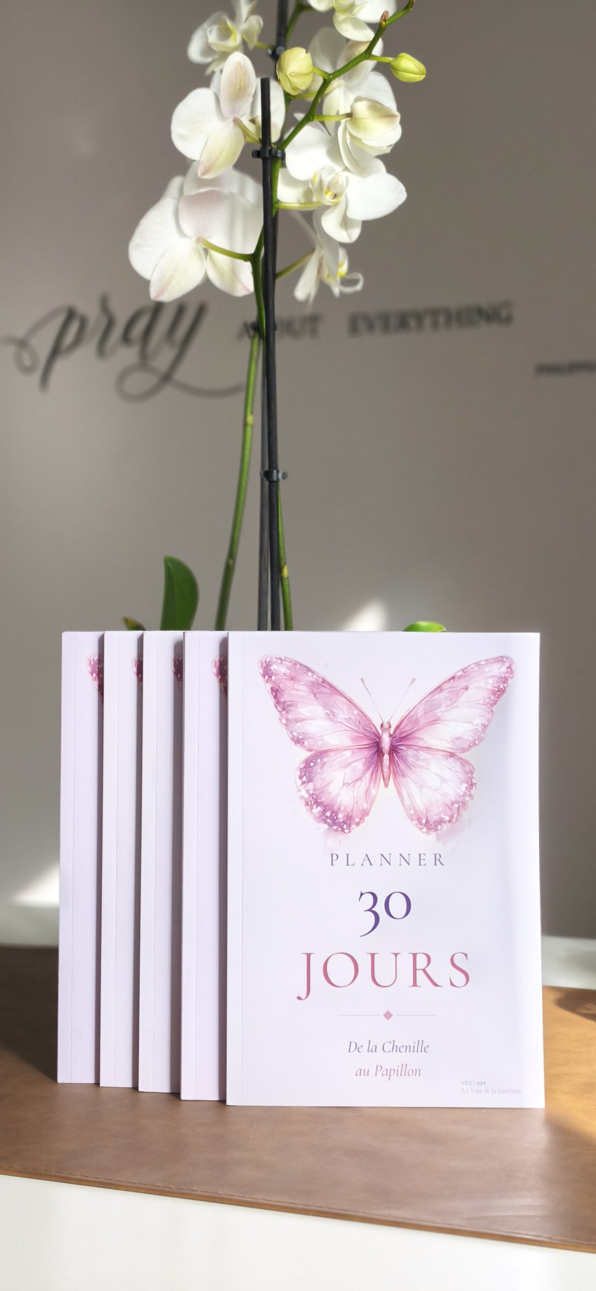 Planner 30 jours De la Chenille au Papillon